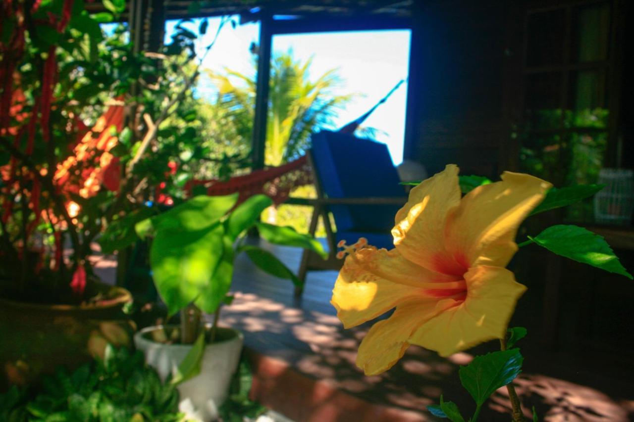 Villa Maree Praia de Pipa Bagian luar foto